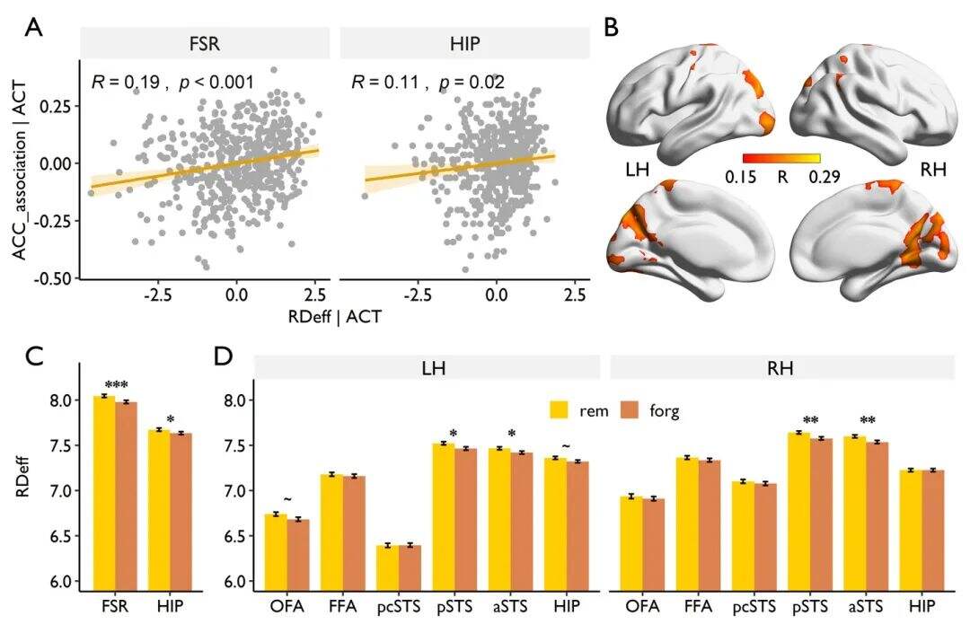 /uploads/image/2022/05/08/c2ac3f4397c5922b13305d9fdfc64497.jpeg 3.jpeg